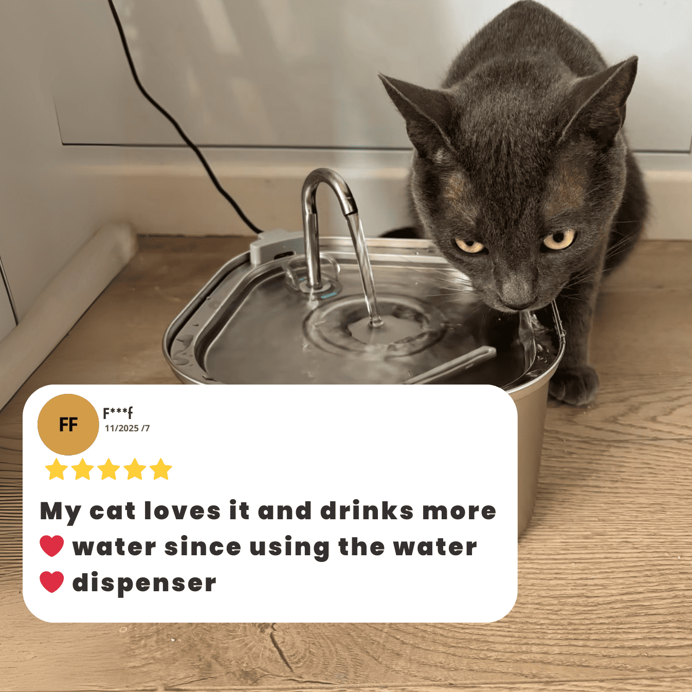 HydroCat Stainless Steel Water Fountain