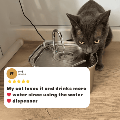 HydroCat Stainless Steel Water Fountain